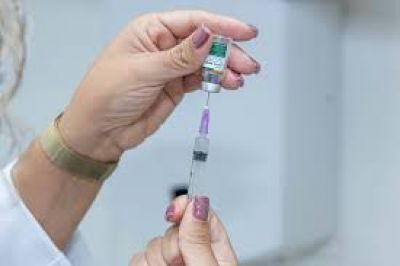Suspensão da vacina da dengue do Butantan: quais os próximos passos após anúncio do Ministério da Saúde?